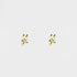 aretes clavo cartier